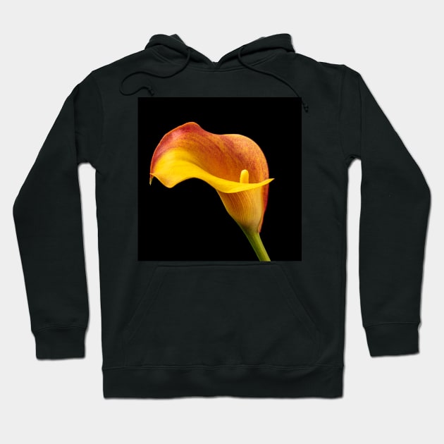 Single Red And Yellow Calla Lily Hoodie by photogarry